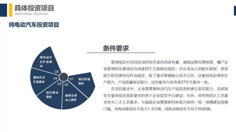 解讀《汽車產業(yè)投資管理規(guī)定》 聚焦新能源汽車與“樁醫(yī)生”的投資咨詢機遇
